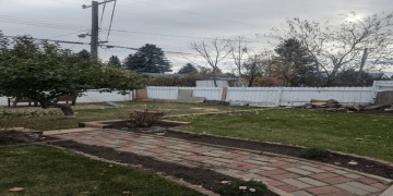 Tree Services Sudbury
